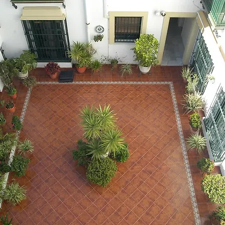 Olivos Jerez Apartment *
